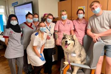Local hospitals introduce therapy dog to improve staff wellbeing